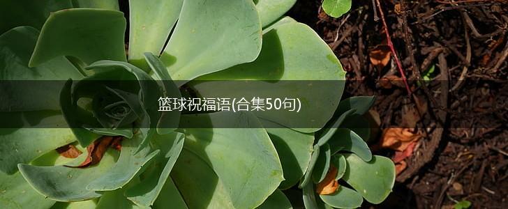 篮球训练计划表一周一次怎么写的_0